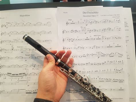 how to read flute sheet music: exploring the nuances of musical expression